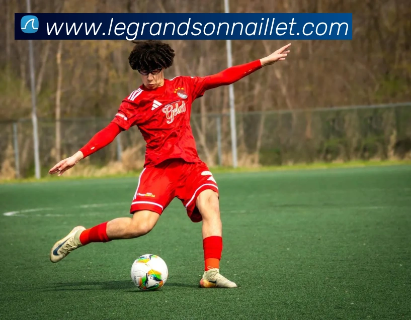 mksports官方网站平台生态图